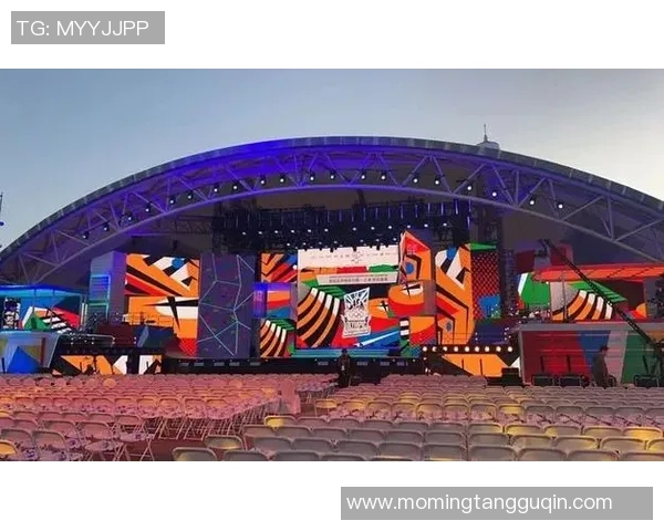 西安街舞队在极限运动嘉年华中的精彩力量展现与表现点评