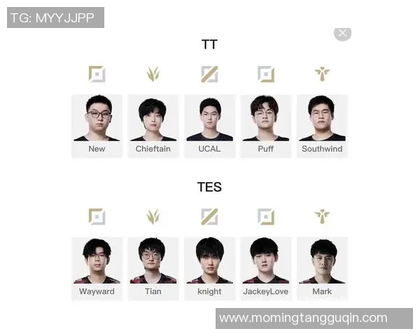 赛后分析：TES与V5对决中的技术细节与战术运用探讨