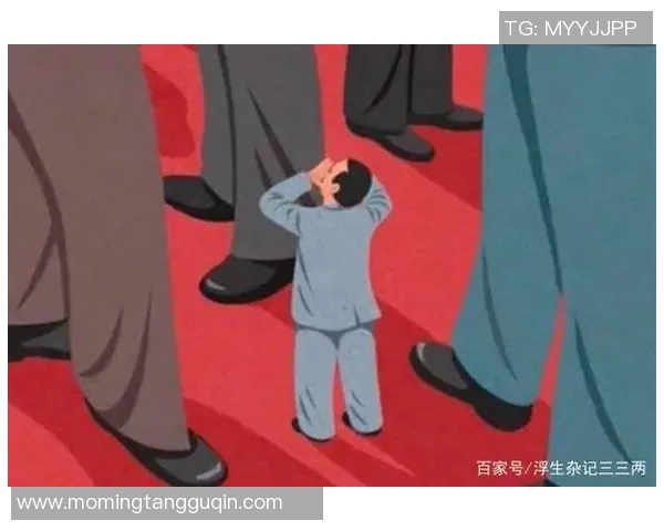 赵芳的排球人生深度对话：从赛场拼搏到人生哲学的启示与反思