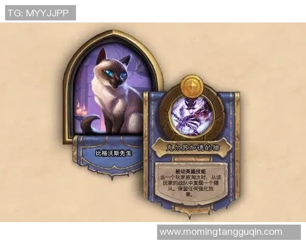 黄伟独家揭秘英雄联盟游戏策略与技巧分享，助你轻松上分提升实力